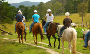 Horse-riding